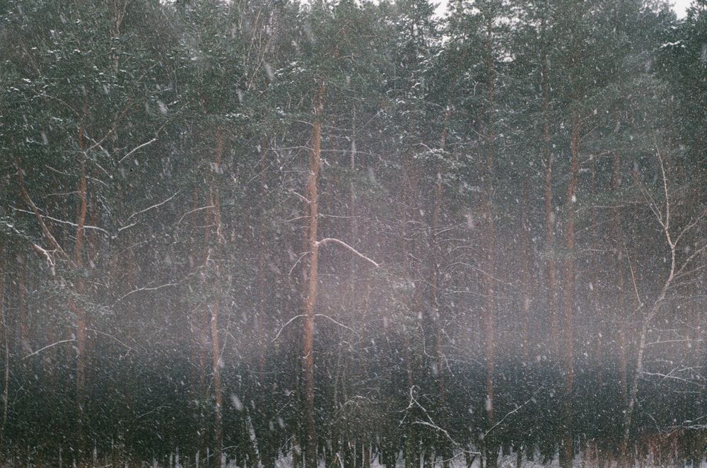 Photograph by Екатерина Немова