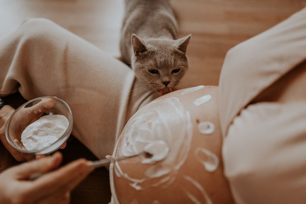 Photograph by Jelizaveta Karakaj