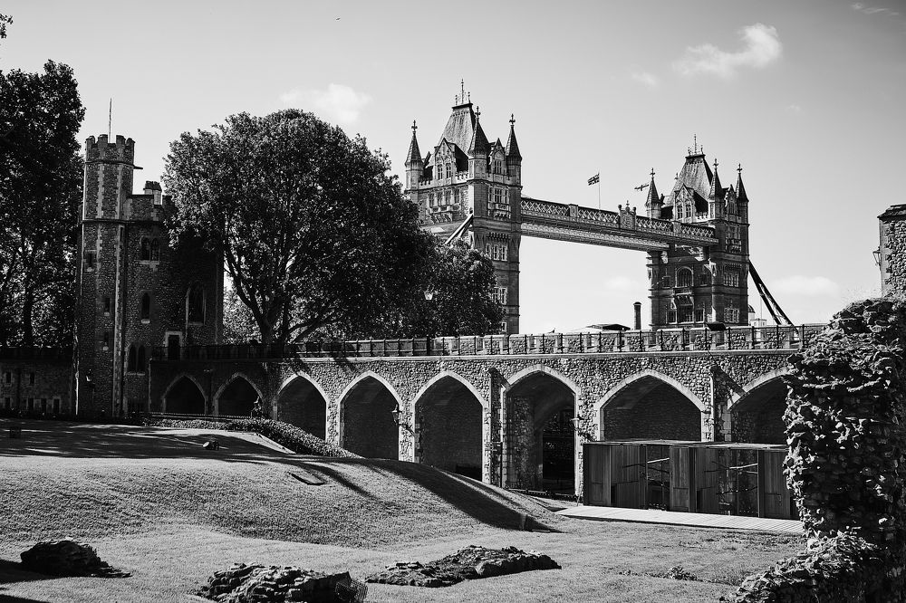 Photograph by Саша Матвеев