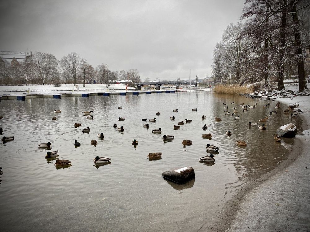 Photograph by Oksana Troshina