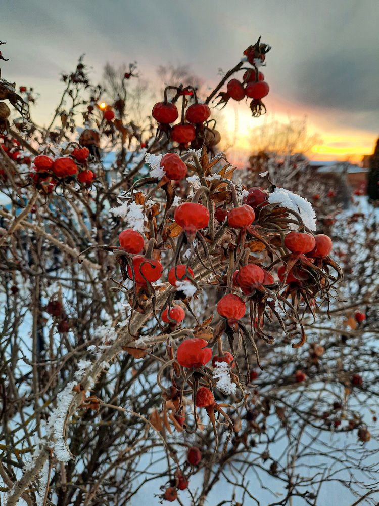 Photograph by Наталья Алехина