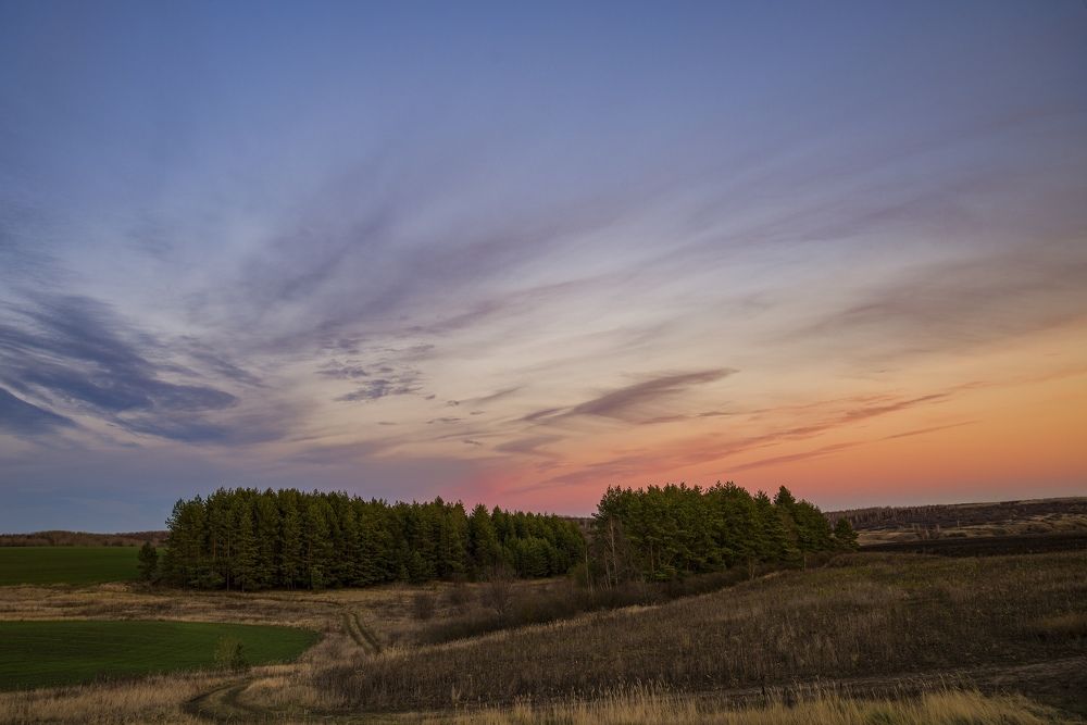 Photograph by Юлия Авдеева