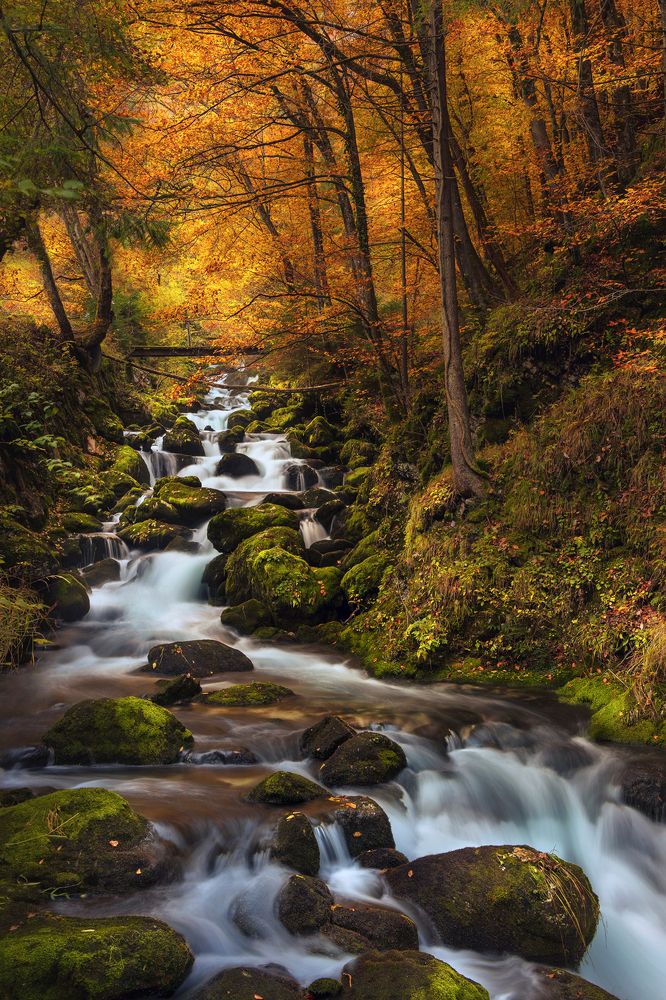 Photograph by Bor Rojnik