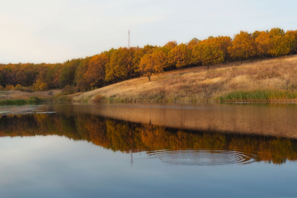 Photograph by Юлия Авдеева