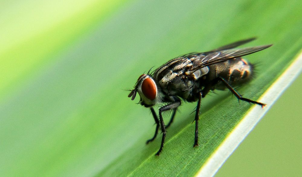 Photograph by Vaibhav Chavan