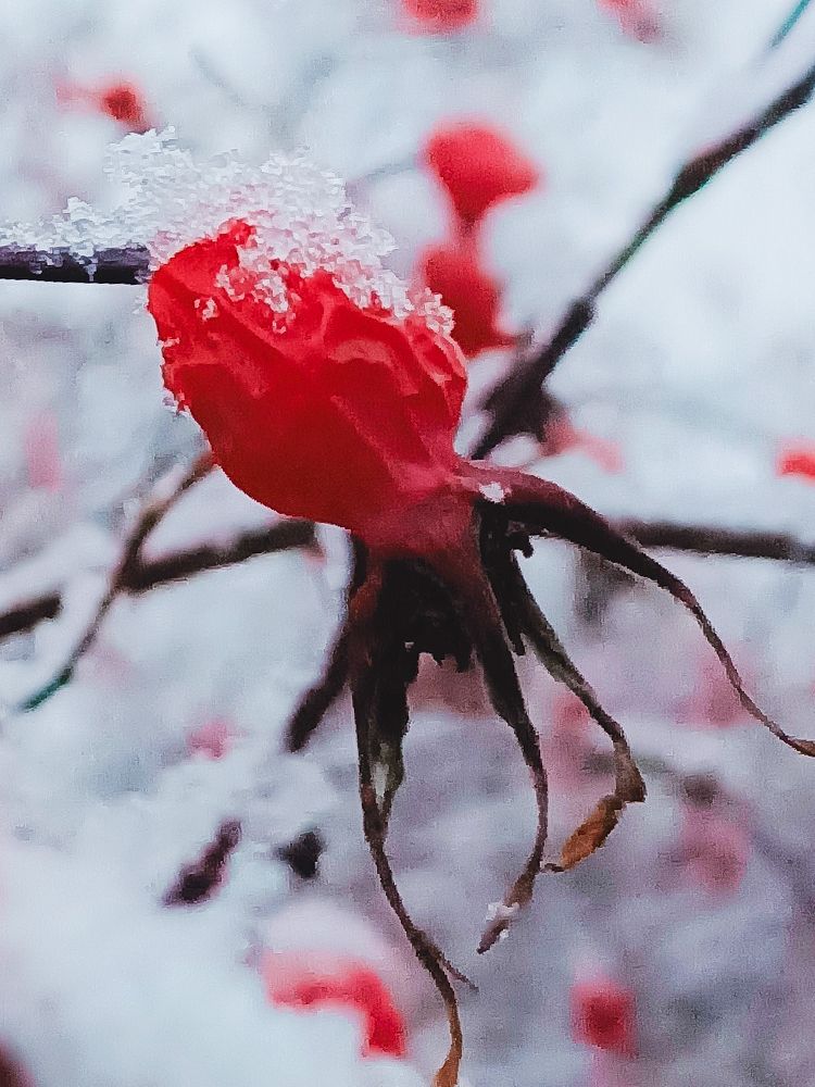 Photograph by Ирина Юркова