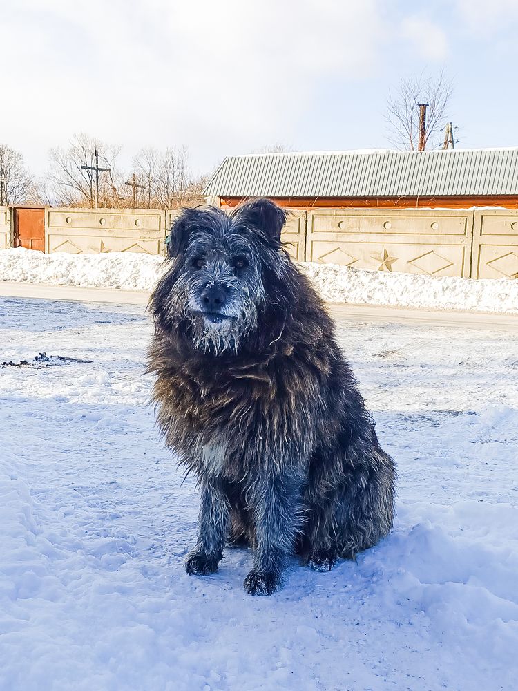 Photograph by Ирина Юркова