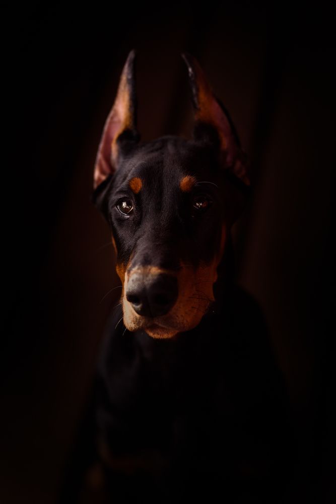 Photograph by Jelizaveta Karakaj