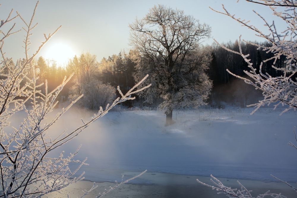 Photograph by Евгений Цветков