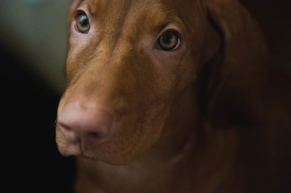 Photograph by Мария Соколова