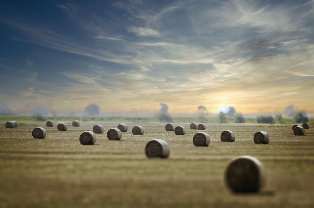 Straw bales