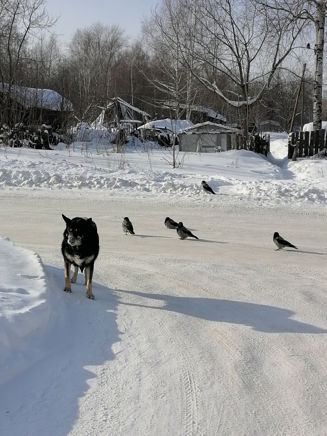 Photo #5923311
