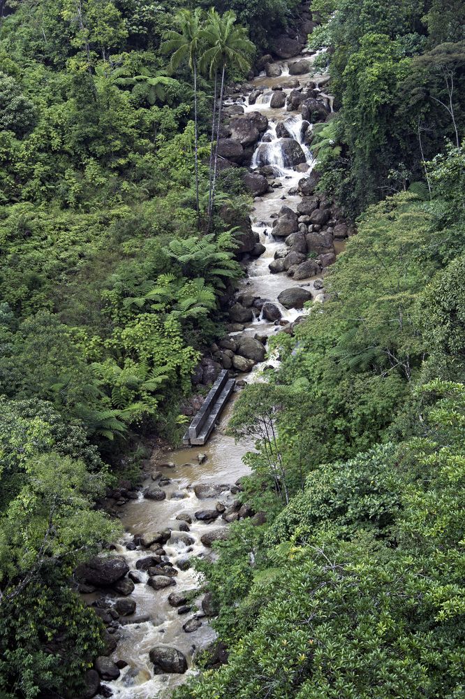 Фотография автора JOE