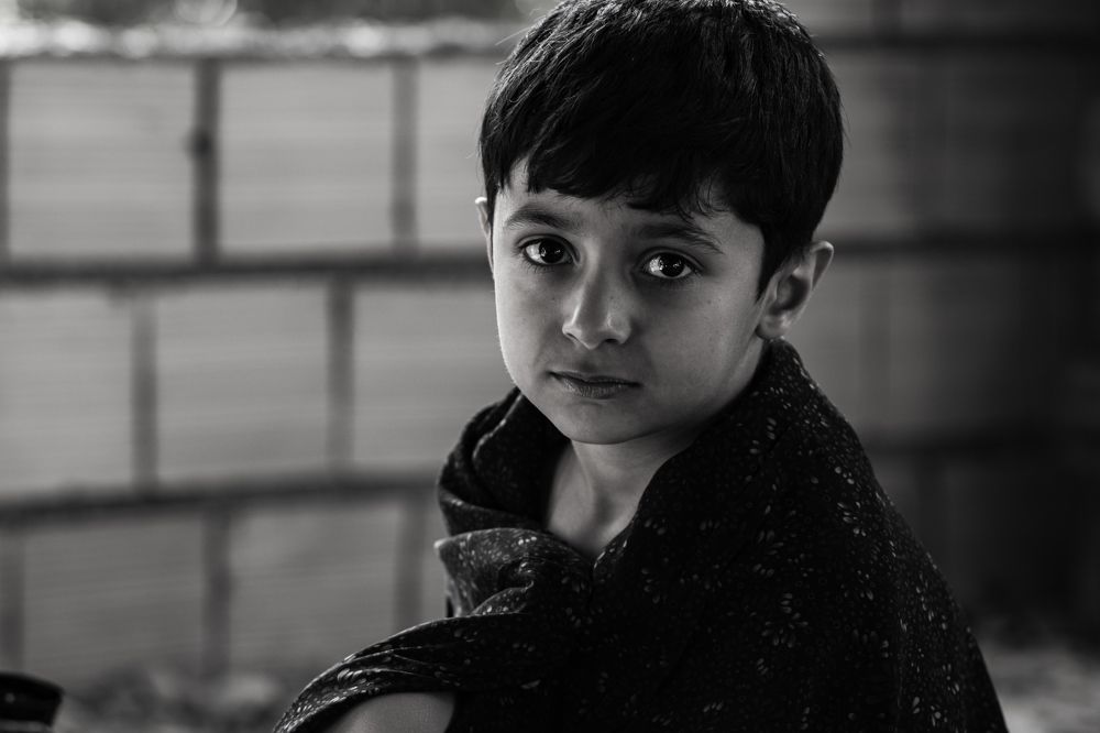 Фотография автора Milad Falahi