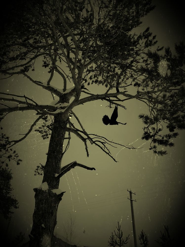 Photograph by Ксения Бельды