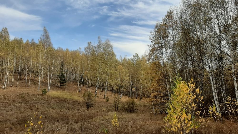 Photograph by Ева