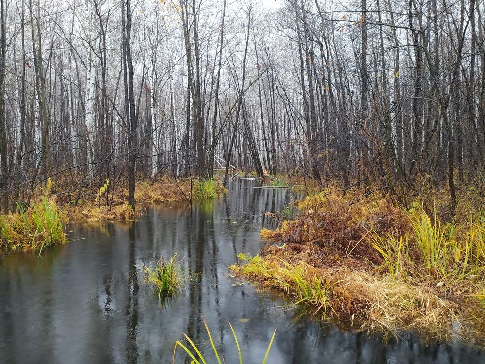 Photograph by Ева