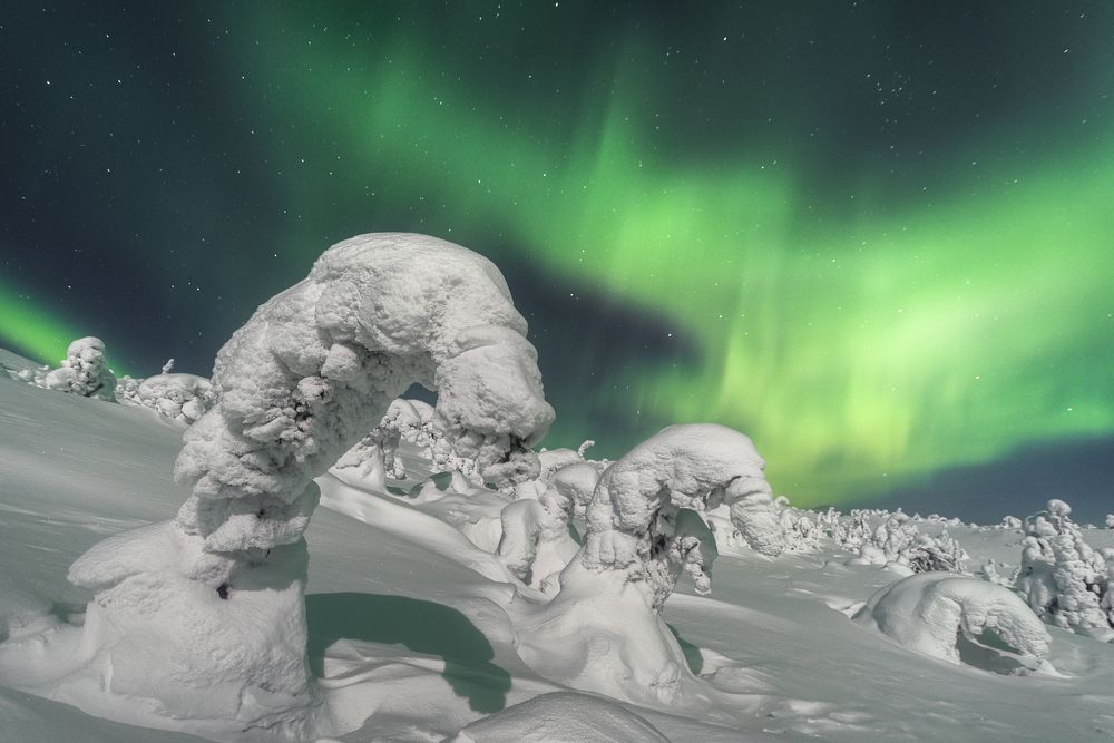 Snow monsters in the Russian Lapland