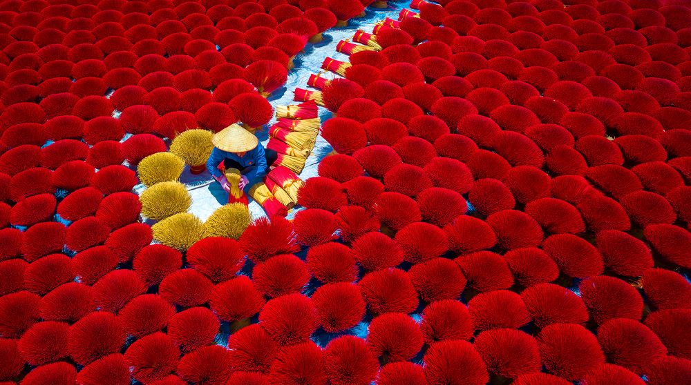 Photograph by Thái Trần Phong Thái