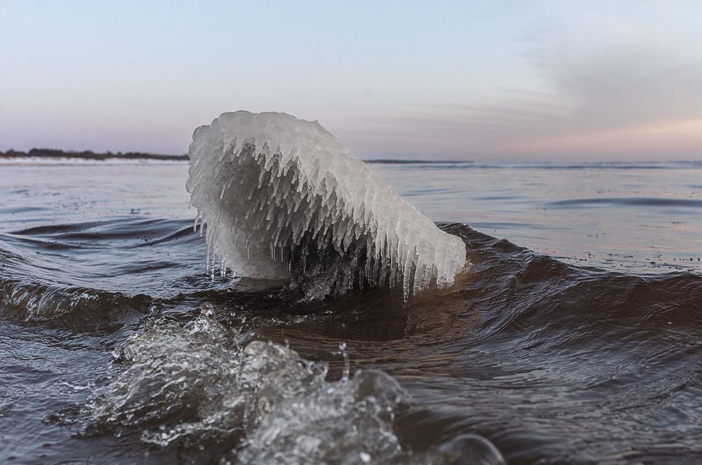 Photograph by Edita Markevičienė