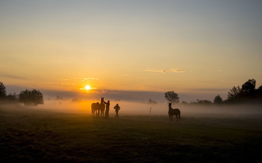 Photograph by Олесь