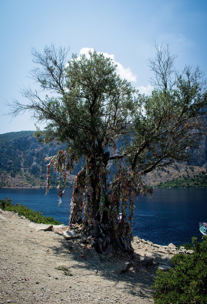 Photograph by Зураб Бабаев