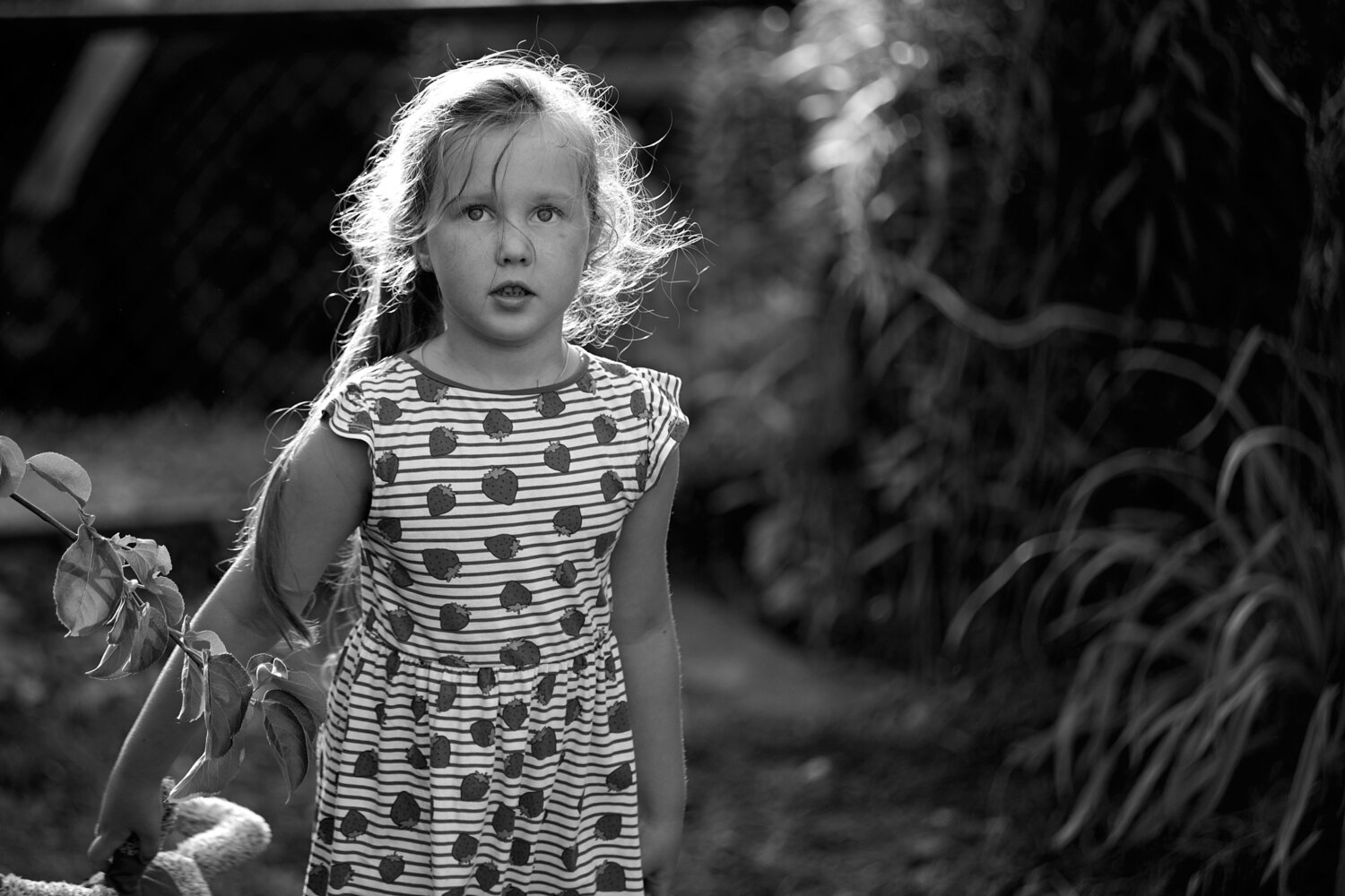 Photo #5923577