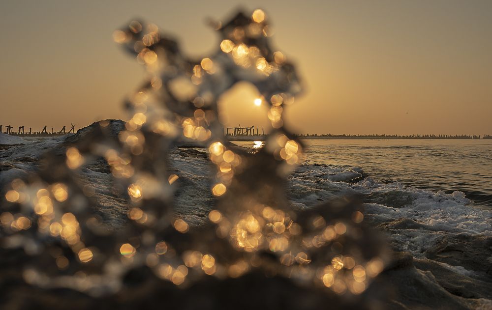 Photograph by Edita Markevičienė