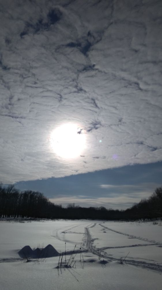 Photo #5923604