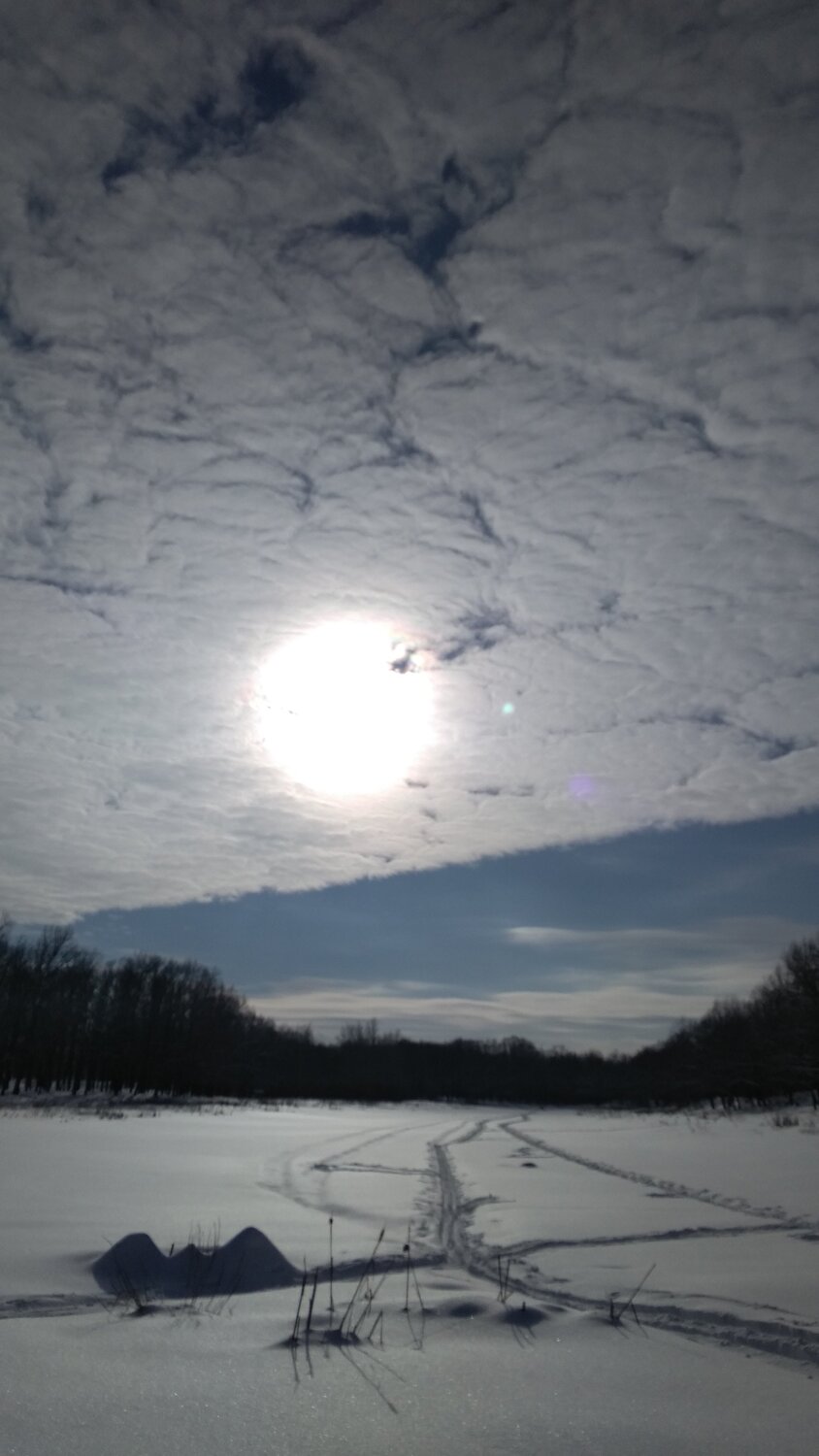 Photo #5923604