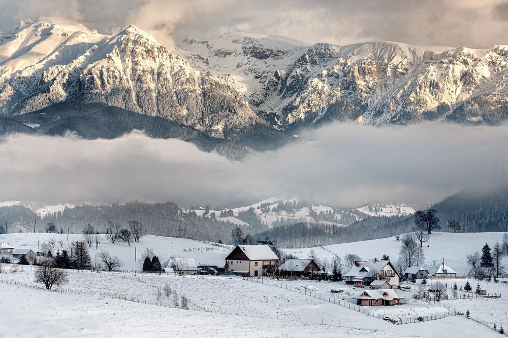 Photograph by Mariana Negulescu