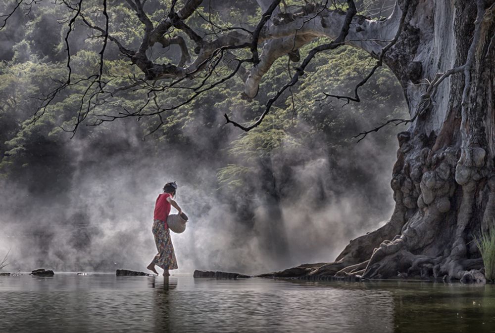 Fresh water and old tree