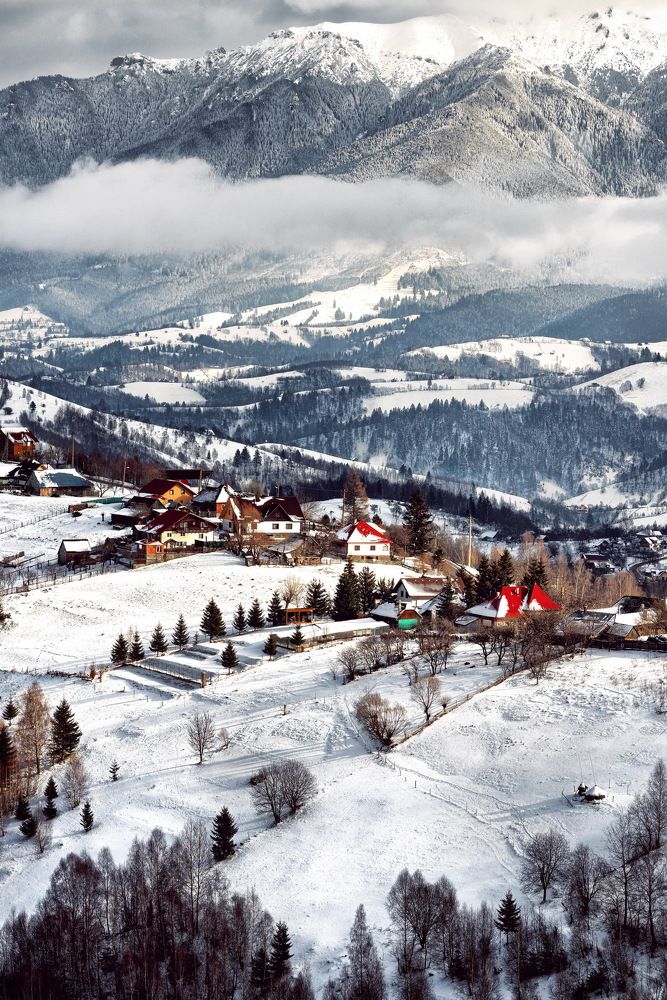 Photograph by Mariana Negulescu