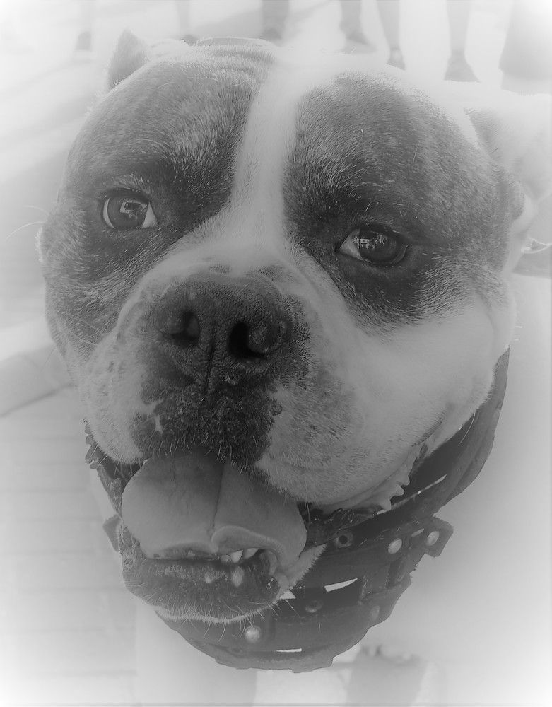 Photograph by Марина Игнатьева