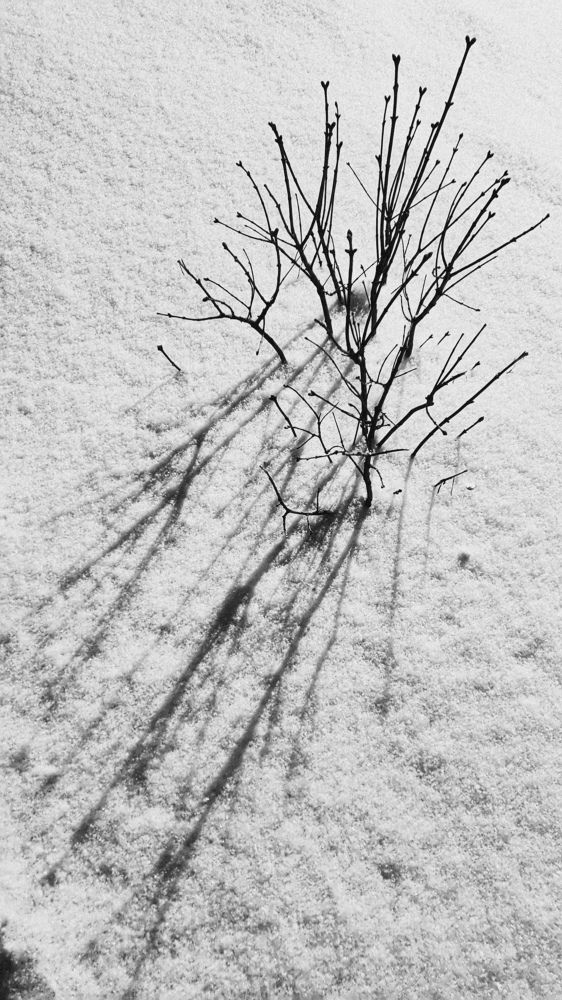 Photograph by Наталия Юреня