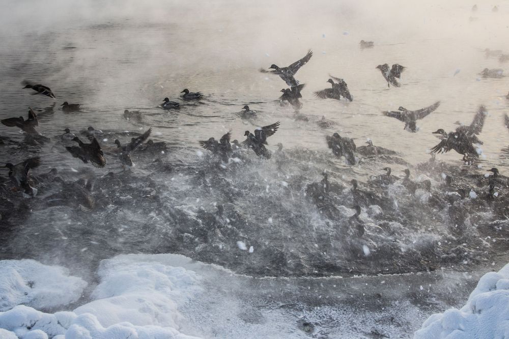 Photograph by Анна Шевченко