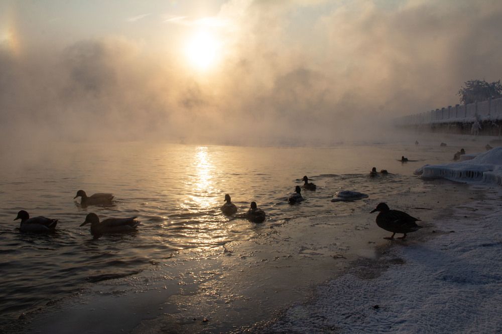 Photograph by Анна Шевченко