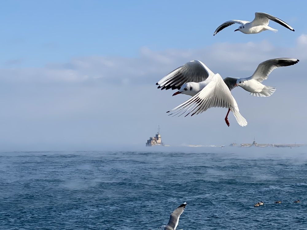 Photograph by Ольга Петухова