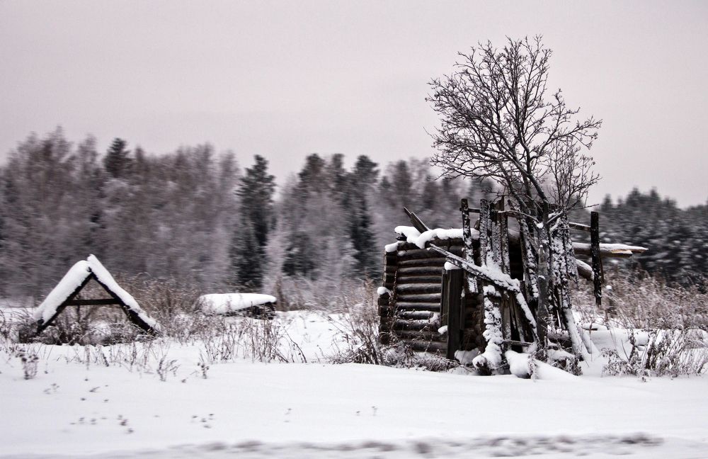 Photograph by Анна Шевченко