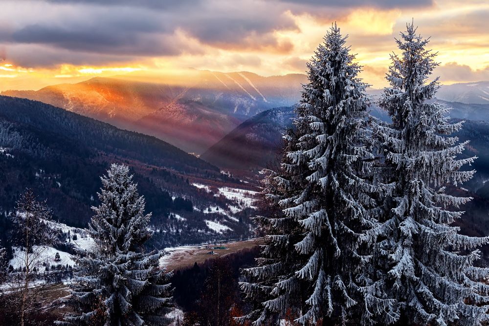 Photograph by Mariana Negulescu