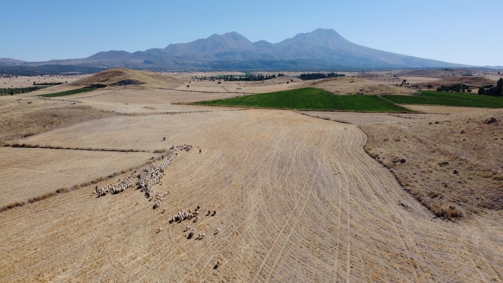Photograph by Ercan Ozturk