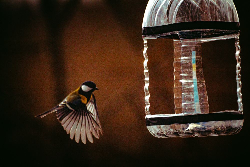 Photograph by Сергей Золотоверхий