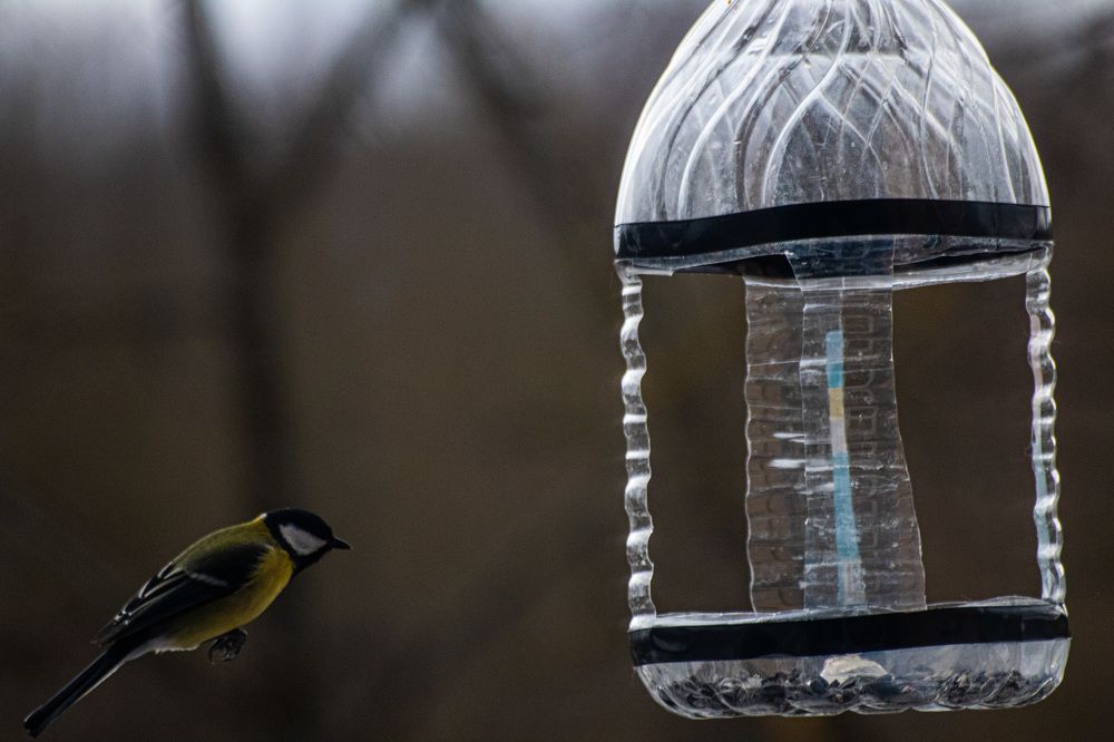 Photograph by Сергей Золотоверхий