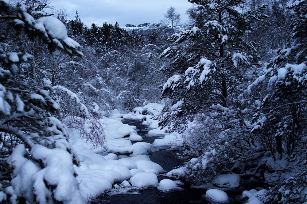 Winter cloudy day in the mountains.