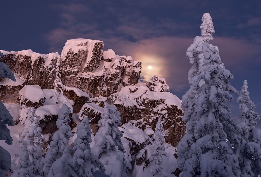 Фотография автора Евгений Прокофьев