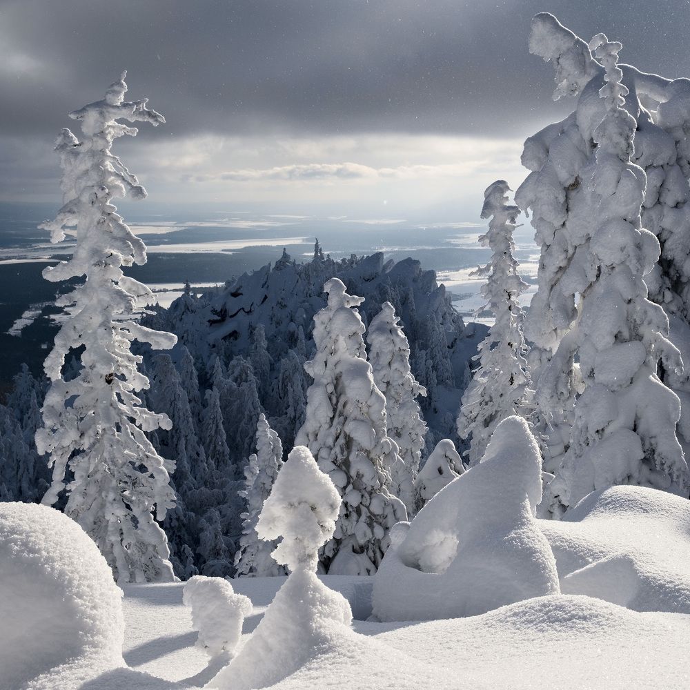 Фотография автора Евгений Прокофьев