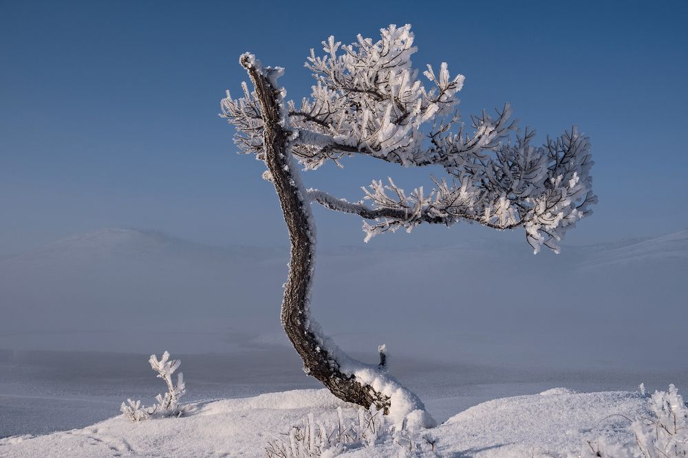 Фотография автора Евгений Прокофьев