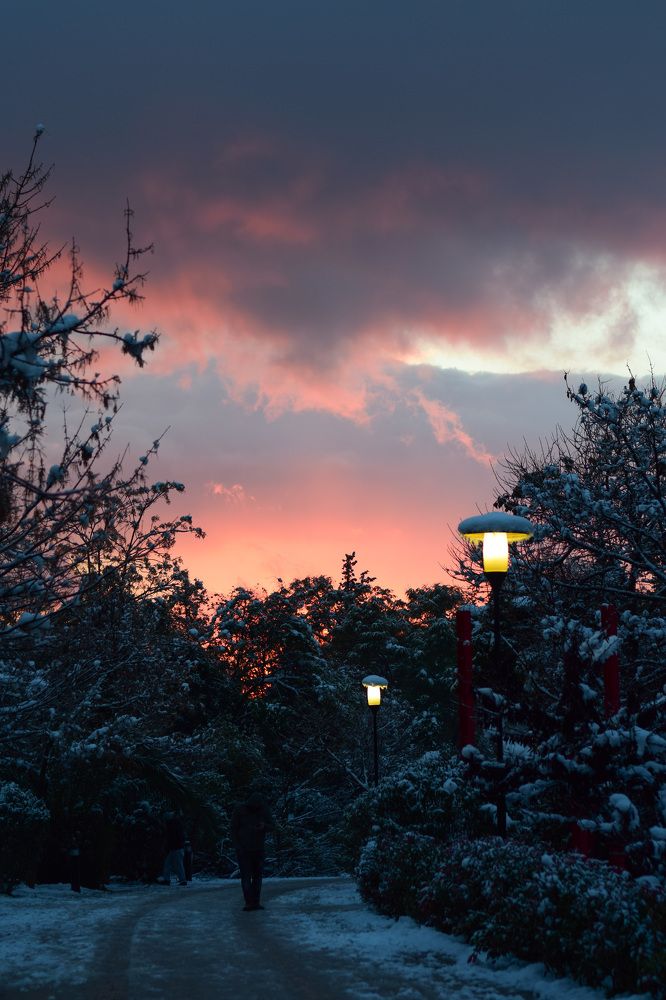 Photograph by Eleni Keta