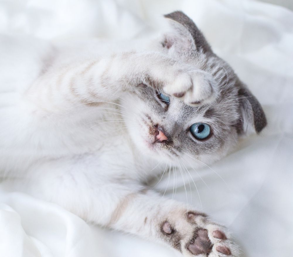 Photograph by Марина Шишкина