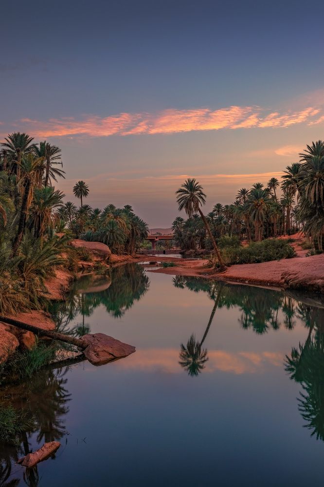 Photograph by Kehli Mohamed Amine